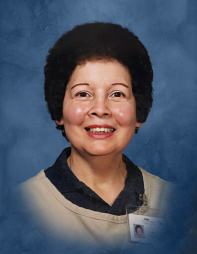 Mary N. Ibarra Garcia