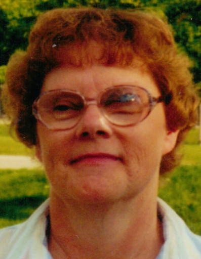 Sue Holaday Profile Photo