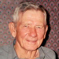 Herbert J. Plegge Profile Photo