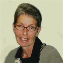 Kathleen Williams Profile Photo