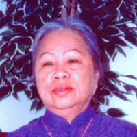 Chi Thi Dang Profile Photo