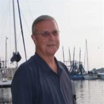 Mr. Stephen Cunard Profile Photo