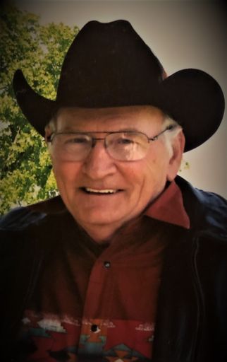 Jerry Lealand Woody Profile Photo
