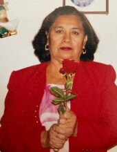 Maria Del Carmen Diegueño Barrera Profile Photo