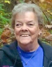 Carol J. Greenwaldt