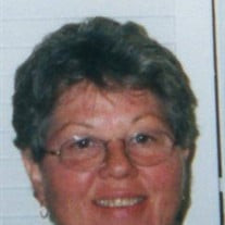 Patricia Ann Schreckenghost Profile Photo