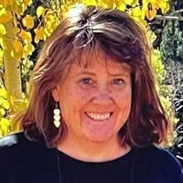 Nancy Kaye Lane Profile Photo