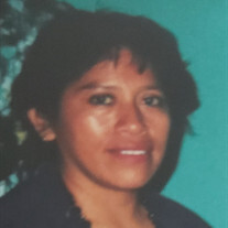 Gloria Lopez Velasquez Profile Photo