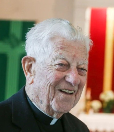 Rev. Patrick F. Healy Profile Photo