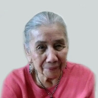 Mercedes Lobo Zavala Profile Photo