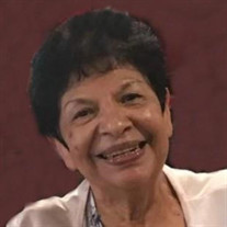 Stella A. Camacho Profile Photo