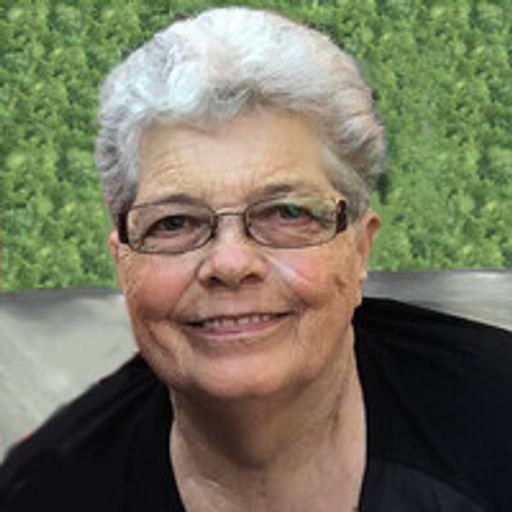 Darlene K. Hay... Age 69 Profile Photo