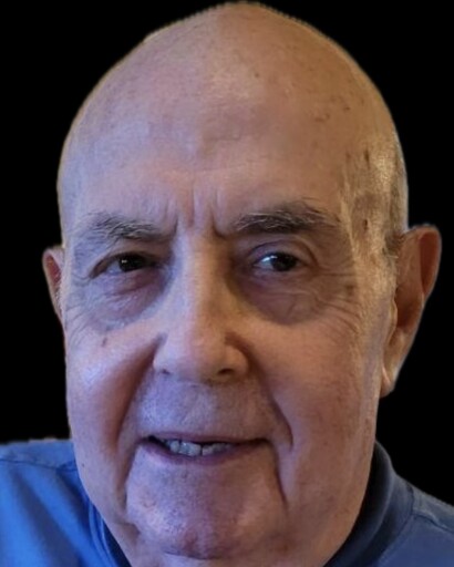 Lewis Joseph Levin's obituary image