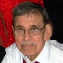 Guadalupe S. Vallejo Jr.