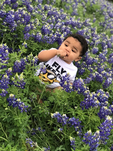 Noah Mason Hernandez 
 June 5, 2018