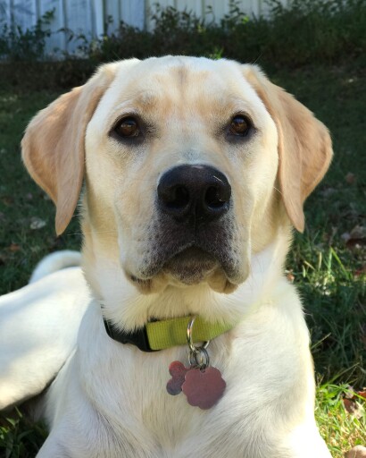 Sir Dobbert Peebles Profile Photo