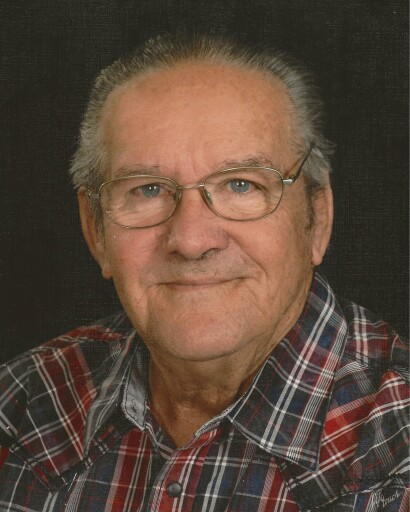 Frank Self, Jr., 82's obituary image