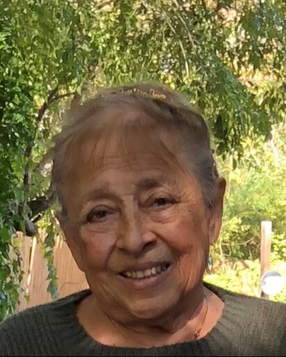 Olga R. Rodriguez Profile Photo
