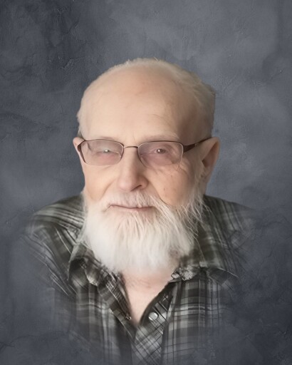 Willis Davis's obituary image