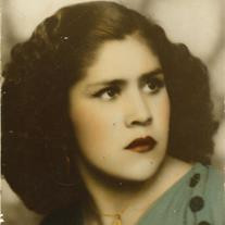 Maria Guadalupe Higareda Profile Photo