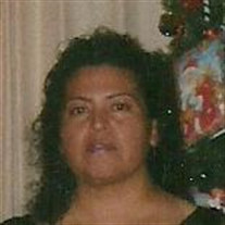 Amalia Landeros Medina Profile Photo