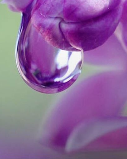 Lorraine Jean Wardell Profile Photo