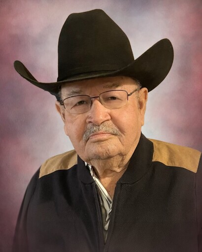 Alejandro B. Salcido Sr's obituary image