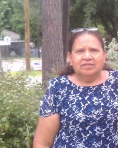 Avelina Rodriguez's obituary image