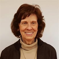 Dr. Gail P. Greene Ph.D Profile Photo