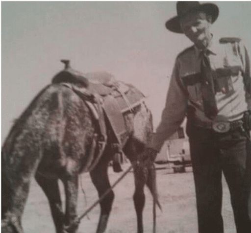 Robert Bartlett Profile Photo