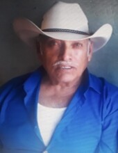 Jose Padilla Alvarado Profile Photo