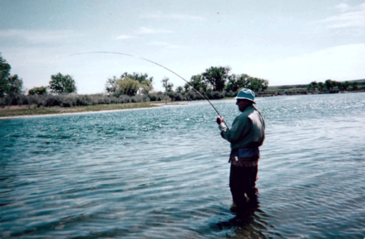 Donald Cushing Profile Photo