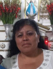 Maria Guadalupe De Castorena Profile Photo