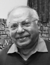 Vasant  H. Jethwa Profile Photo