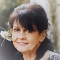 Judy Lee Jones Profile Photo