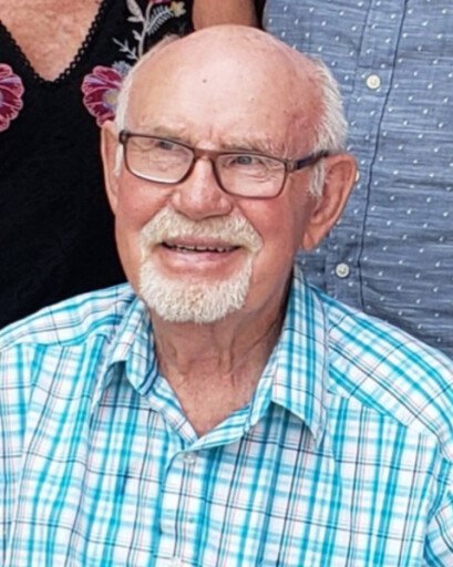Dennis N. McCammack's obituary image