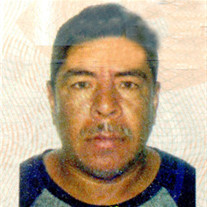 Pedro Martinez Profile Photo