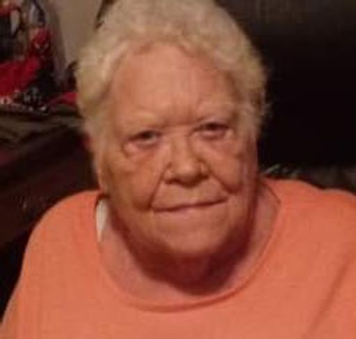 Shirley Ann (Pasco)  Theis