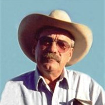 Larry L. Waddell Profile Photo