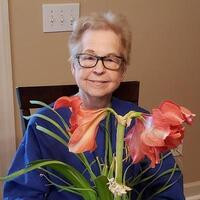 Susan "Sue" White Profile Photo
