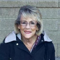 Mary Louise Sullivan Profile Photo