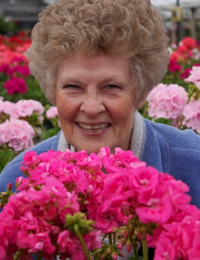 Beverly Ann (Martinson)  Dahl Profile Photo