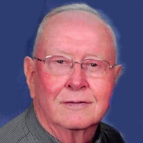 Duane L Tollefson