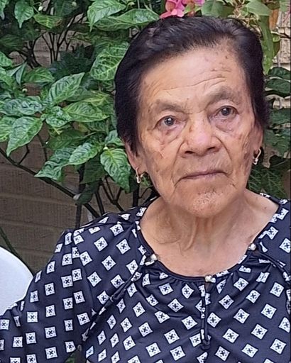 Rosa Huerta Mendez's obituary image