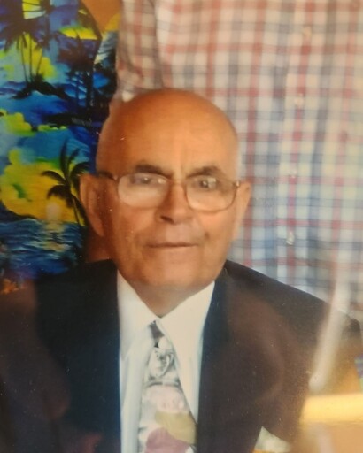 Vito Michael Mossa's obituary image