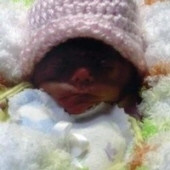 Infant Mckenzie Nicole Middleton Profile Photo