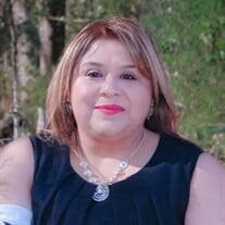 Nancy Lopez Profile Photo