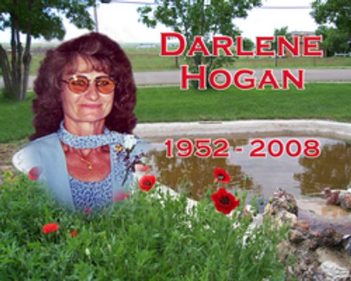 Darlene Kwasney Hogan