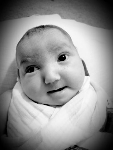 Lucas Edward Hesselbach