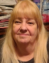 Debra Lynn Dwyer Profile Photo